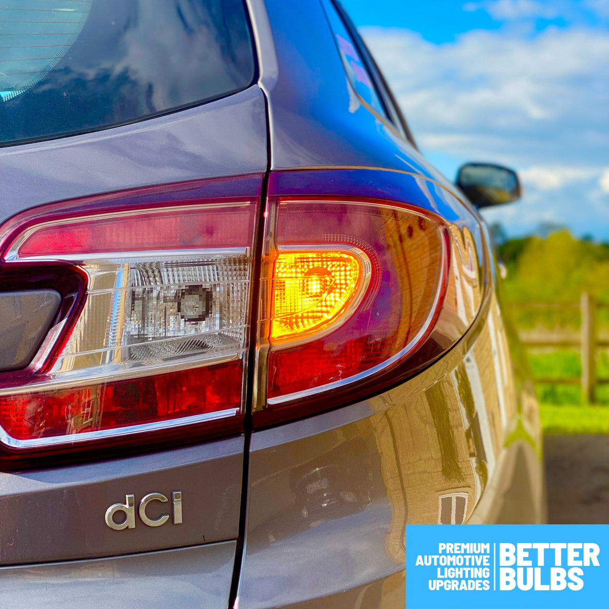 Better Bulbs Premium LED Indicator Bulbs